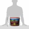 Westland Fish, Blood and Bone All Purpose Plant Food, 10 kg