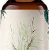 Calmer Solutions | Citronella - 10ml | Headache, colds, Insect Repellent |Pure 100% UK Sourced Natural Essential Oils | Professional or Home use