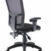 Office Hippo Mesh Back Desk Chair, Ergonomic Home & Office Chair With Height Adjustable Seat & Arms, Lumbar Support For Extra Comfort, Computer C