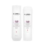 Goldwell Dualsenses Color Brilliance Shampoo 250ml and Conditioner 200ml