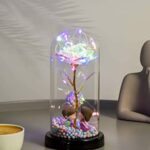 NAWEIDA Galaxy Rose Flower Gift  Colorful Artificial Flower Rose Gift Galaxy Rose FlowerLast Forever in A Glass Dome Unique Gift for Her