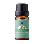 Lagunamoon 100 Pure Ginger Essential Oil for Aromatherapy Lymphatic Drainage Massage Swelling and Pain Relief10ml