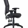 Office Hippo Mesh Back Desk Chair, Ergonomic Home & Office Chair With Height Adjustable Seat & Arms, Lumbar Support For Extra Comfort, Computer C