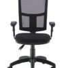 Office Hippo Mesh Back Desk Chair, Ergonomic Home & Office Chair With Height Adjustable Seat & Arms, Lumbar Support For Extra Comfort, Computer C