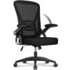 naspaluro Office Chair Ergonomic Desk Chair with 90° Flip-up Armrest Lumbar Support, Height Adjustable Office Desk Chair, Executive Swivel Comput