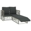 DLOETT 2 Piece Garden Sofa Set with Cushions Synthetic Rattan Garden Furniture Set Gray
