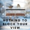 Window Bird Feeder with Removable Seed Tray with Drainage Holes, Clear Window Bird Feeder with Strong Suction Cups, Outdoor Window Bird Feeder wi
