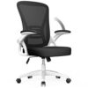 naspaluro Office Chair Ergonomic Desk Chair with 90° Flip-up Armrest Lumbar Support, Height Adjustable Office Desk Chair, Executive Swivel Comput