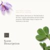 RITUALS The Ritual of Namast AntiAging Serum Glow Collection 30 ml