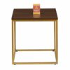 ASPECT Regis Side End Table/Nightstand (Walnut/Gold, 45x45x46(H) cm), Metal