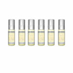Secret Man Perfume Oil  6 x 6ml by Al Rehab