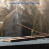 1ABOVE 30 PACK Outdoor Garden Citronella Incense Insect Repellent Sticks With Holder used to get rid of the mosquitoes and insects. (5)