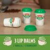 Central Perk Lip Balm  Set of 3 Flavored Chapsticks  Officially Licensed FRIENDS Show Merchandise