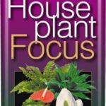 Houseplant Focus Liquid Concentrated Fertiliser 100 ml