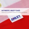 ANLEY Fly Breeze 3x5 Foot Pansexual Pride Flag - Vivid Color and UV Fade Resistant - Canvas Header and Double Stitched - Omnisexual LGBT Flags Po