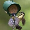 Jacobi Jayne FBF-2 Flutter Butter Hanging Feeder, Green, 170.0 mm*130.0 mm*90.0 mm