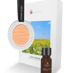ikeda perfume Car Mirrior Hanging Accessories | 45-Days Long-Lasting Fragrance Gypsum Car Air Fresheners Pendant | 10ml Essential Oils for Rearvi