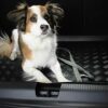 NOMAD Boot Liner for Dacia Jogger (2022-) Tailored Fit Car Floor Mat Protector Guard Tray Black Custom Fitted Accessory - Dog Friendly & Waterpro