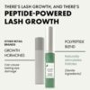 Organic Eyelash Growth Serum for Longer Fuller Thicker Lashes  Rapid Lash Growth Serum  Brow Enhancer Used for Natural Eye Lashes Eyebrows Lash E