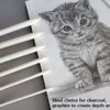 N NOROCME 12 PCS Blending Stumps and Tortillions Paper Art Blenders with Sandpaper Pencil Sharpener Pointer for Student Artist Charcoal Sketch Dr