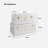 Beautify Storage Trunks Extra Large Set of 2 White Steel Storage Chests with Rose Gold Handles Stylish Stackable Bedroom Storage for Bedroom Liv