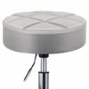 Leader Accessories Swivel Stool Round Rolling Stools Adjustable Work Stool with 5 Wheels Light Greyseat cushion 14
