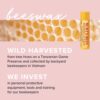 Burts Bees Lip Balm Multipack Lip Balm Set Beeswax Strawberry Coconut  Pear Vanilla Bean Best of Burts 4x4.25g