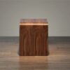 SLATIOM Bent Wood Plywood Mid Century Design Breakfast Coffee Table Magazine Living Room Furniture Side Tea Bed Table Laptop Color  Brown Size  4