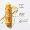 Burts Bees Lip Balm Multipack Chapstick Lip Balms With Beeswax And Vitamin E Duo Value Pack 2x4.25g