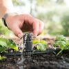 HOZELOCK - Universal Dripper Easy Drip : Micro Irrigation [7010 0000]