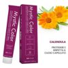 Mystic Color  Permanent Cream Colouring with Argan Oil and Calendula  Long Lasting Hair Dye  Golden Light Blonde Color 8.3100ml