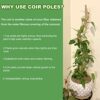 Moss Pole for Cheese Plant, 2 Pack 47 Inches Moss Pole, Moss Pole for Monstera, Moss Stick for Cheese Plant, Plant Supports for Plants Indoor/Gar