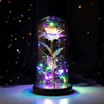 Galaxy Rose Gifts for WomenBeauty and The Beast Rose in Glass Glass Rose Colorful Gift for Girlfriend BirthdayAnniversaryChristmas DayValentines
