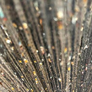 HYSENM 2 Pack Rare Flat Glistering Silver Ribbon Fringe Door String Curtain Window Panel Room Door Divider Tassel for Party Wedding Birthday Deco