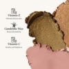 Julep Eyeshadow 101 Crme to Powder Waterproof Eyeshadow Stick Duo Pearl Shimmer and Rose Shimmer