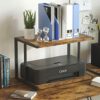 Dripex 2-Tier Printer Desktop Stand Holder, Multi-Purpose Desk Organizer Storage Shelf Fax Rack File Books Shelf 43.5x28x27.5cm