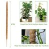 Moss Pole for Cheese Plant, 2 Pack 47 Inches Moss Pole, Moss Pole for Monstera, Moss Stick for Cheese Plant, Plant Supports for Plants Indoor/Gar