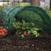 Haxnicks Easy Tunnel Net | Ready To Use Fold Out Design Shade Netting Garden Tunnel | Birds Insects Harsh Weather | Prevents Scorching In Warmer