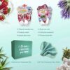 7th Heaven Beauty Box of Treats Gift Pack with 8 Facial Skincare Masks  Includes a Decorated Keepsake Box and Cleansing Face Cloth
