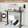 cheertech Electric Height Adjustable Standing Desk, Luxury Editon, 140 x 60cm Electric Sit Stand Desk Lifting Computer Workstation, Ergonomic Sta