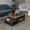 HOMIDEA DUX Low coffee table  wood material  Sofa table  Modern coffee table in a fashionable design with shelf AnthraciteBriarsmoke