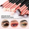 Amazon Brand  Eono Eyeshadow Brushes 15Pcs Professional Eye Makeup Brush SetEye Makeup Brushes for Concealer Eyeliner EyelashEyebrow Blending Con