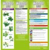 Weedol Concentrated Lawn Weedkiller, Easy Mix Liquid, 500 ml