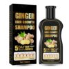 Ginger Shampoo Ginger Hair Growth Shampoo Anti Hair Loss Shampoo Natural Organic Ginger Shampoo Promotes Hair Growth Antidandruff  Antiitching Gi