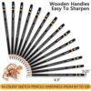 Drawing Pencils for Artists 14 Pcs - 12B – 6H Sketching Pencils Set with Metal case for Drafting, Sketching, Shading, Drawing, Illustrations – Id