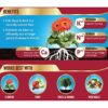 Westland Fish, Blood and Bone All Purpose Plant Food, 10 kg