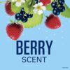 Secret Scent Expressions So Very Summerberry Clear Gel AntiperspirantDeodorant 160ml Pack of 2 So Very Summerberry 150ml
