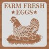 BENECREAT 30x30cm Hen Pattern Plastic Painting Stencils, Farm Fresh Eggs Large Reusable Stencil Template for Painting on Scrapbook Fabric Tiles F