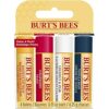 Burts Bees Lip Balm Multipack Lip Balm Set Beeswax Strawberry Coconut  Pear Vanilla Bean Best of Burts 4x4.25g
