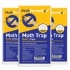POWERFUL CLOTHES MOTH TRAP 6x Replacement Strips | For MothPrevention Clothes Moth Traps | Odor-free & Natural | Best Catch-Rate for Clothes Moth